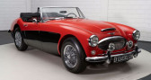 Annonce Austin healey 3000 occasion Essence Healey MK3 | Body-off restauré | Matching Numbers | 1965 à Waalwijk